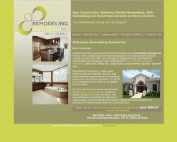 Website Designs